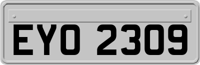 EYO2309