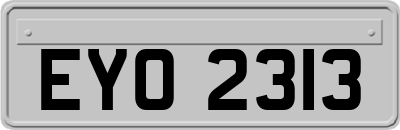 EYO2313