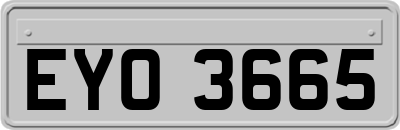 EYO3665