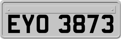 EYO3873