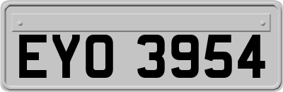 EYO3954