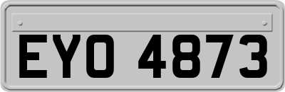 EYO4873