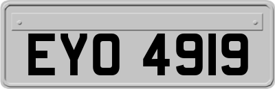 EYO4919