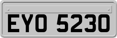 EYO5230