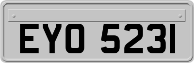 EYO5231