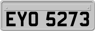 EYO5273