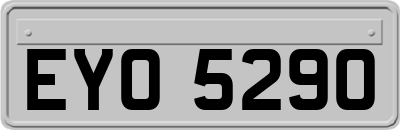 EYO5290