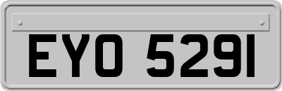 EYO5291