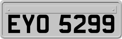 EYO5299