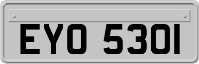 EYO5301