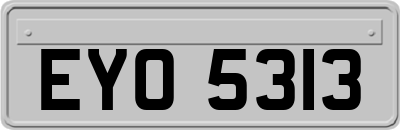 EYO5313