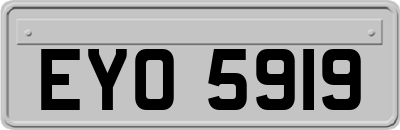 EYO5919