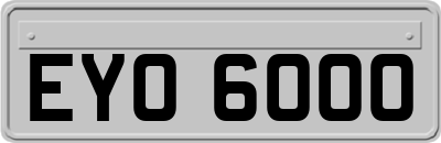 EYO6000