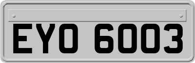 EYO6003
