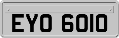 EYO6010