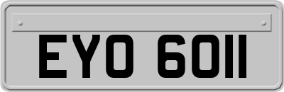 EYO6011