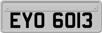 EYO6013