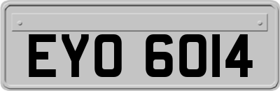 EYO6014