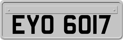 EYO6017