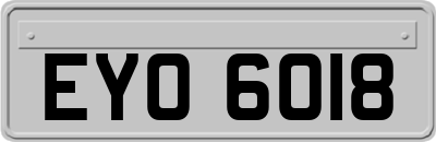 EYO6018