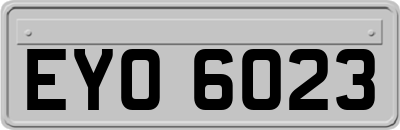 EYO6023
