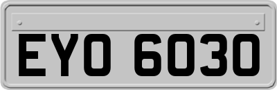 EYO6030
