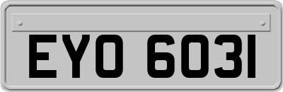 EYO6031