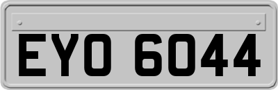 EYO6044