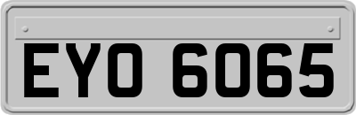 EYO6065