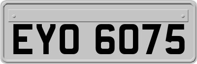 EYO6075