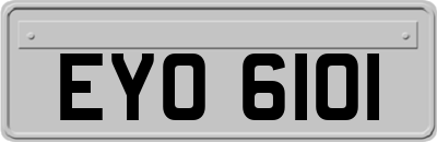 EYO6101