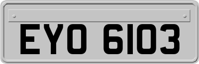 EYO6103