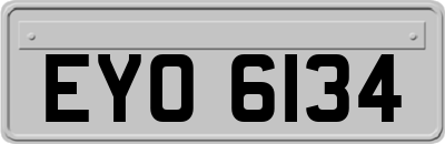 EYO6134