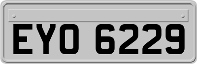 EYO6229