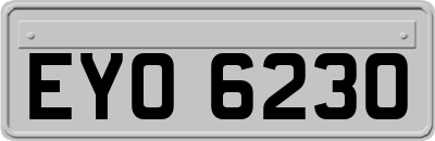 EYO6230