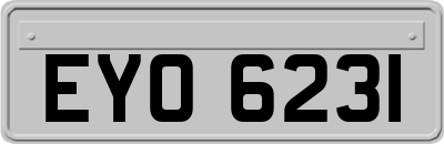 EYO6231