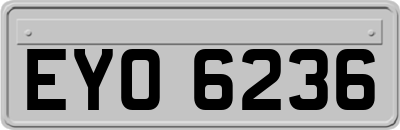 EYO6236