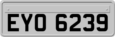 EYO6239