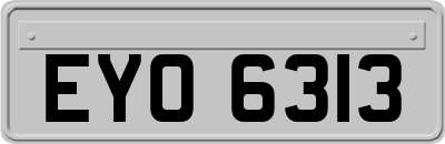 EYO6313