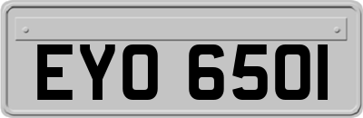 EYO6501