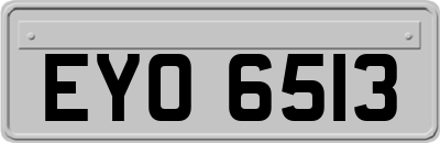 EYO6513