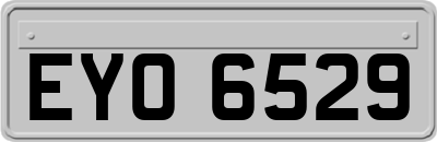 EYO6529