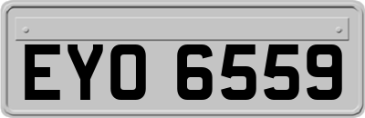EYO6559