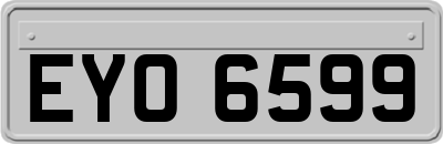 EYO6599