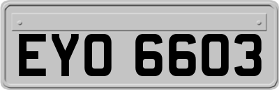 EYO6603