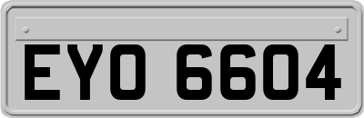 EYO6604