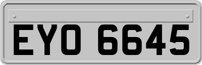 EYO6645