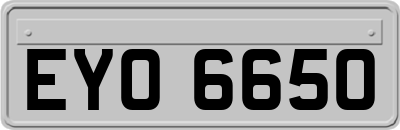 EYO6650