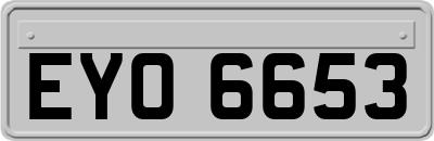 EYO6653