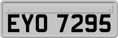 EYO7295
